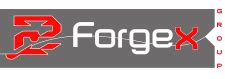 groupe forgex